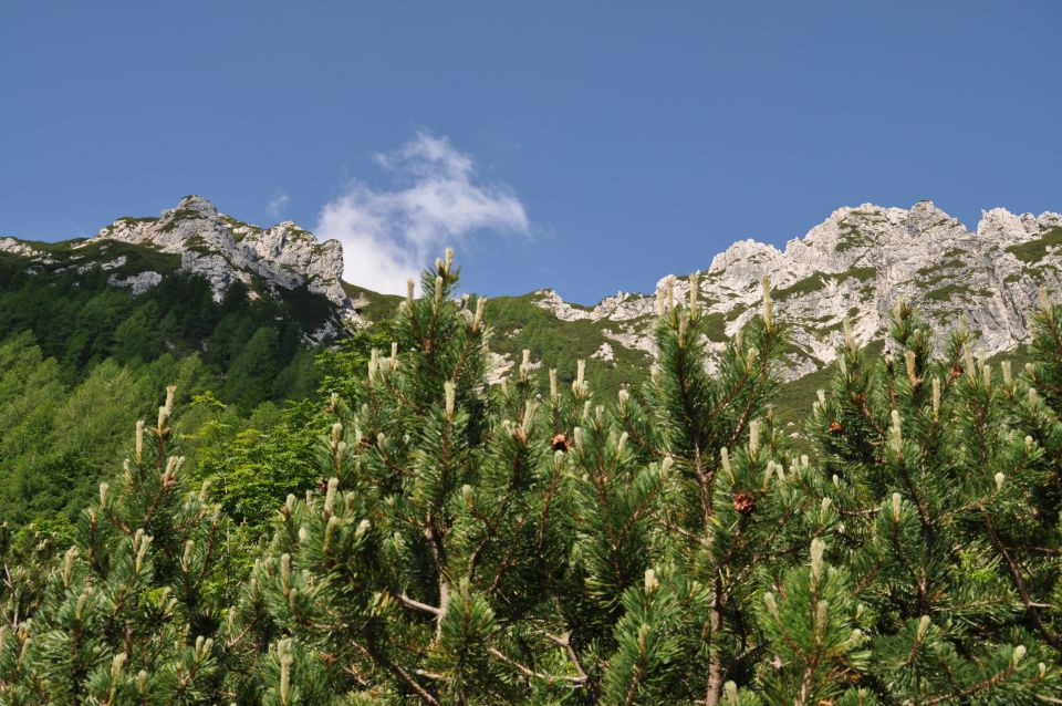 Planina Konjščica in studorski preval - foto povečava