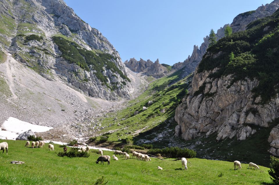 Planina Konjščica in studorski preval - foto povečava