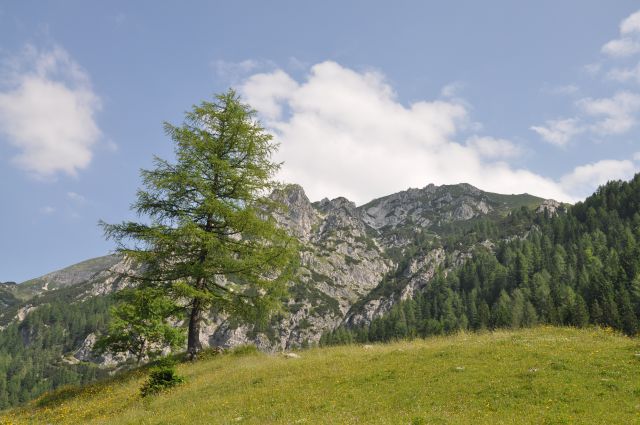 Planina Konjščica in studorski preval - foto