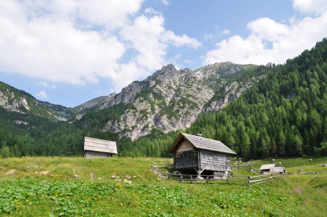 Planina Konjščica in studorski preval - foto