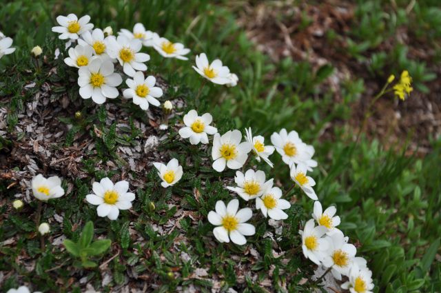 Planina Konjščica in studorski preval - foto