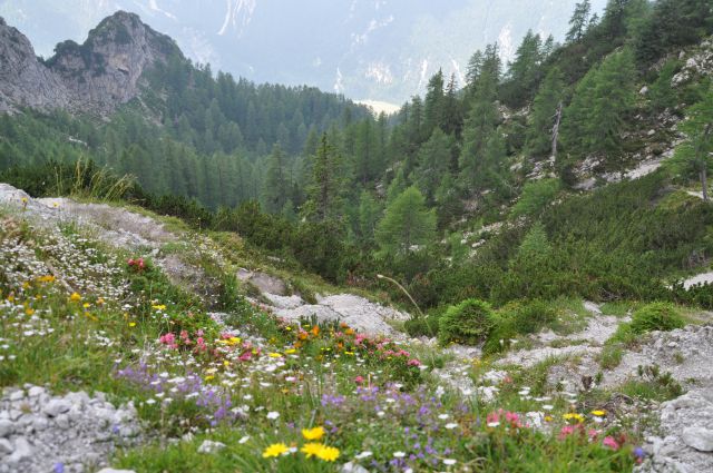 Mala ponca in belopeška jezera - foto