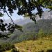 panoramski pogledi do  do Poldnašnje špice-Jof di Miezegnot