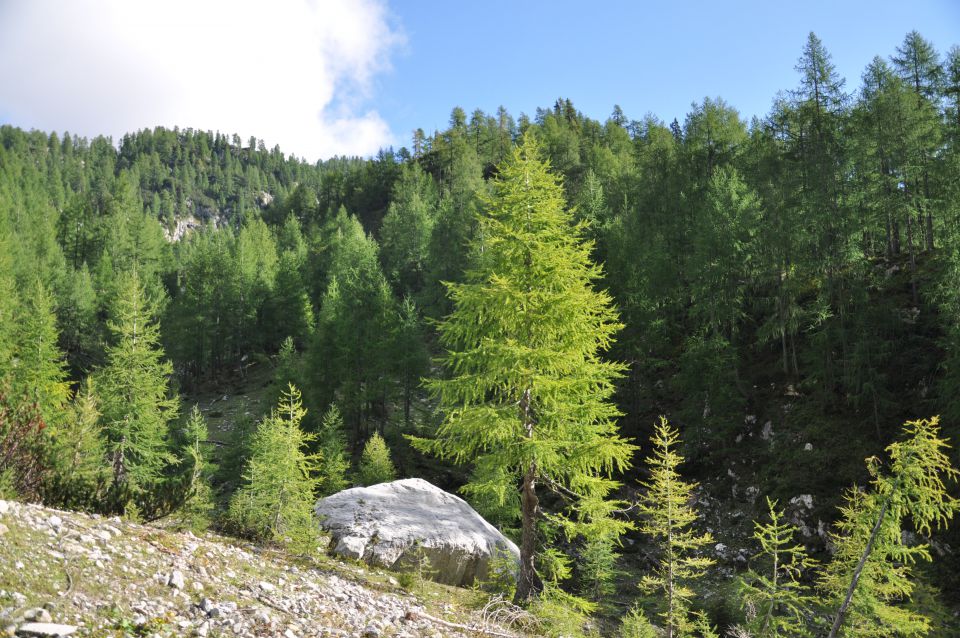 Iz Krme na Planiko - foto povečava