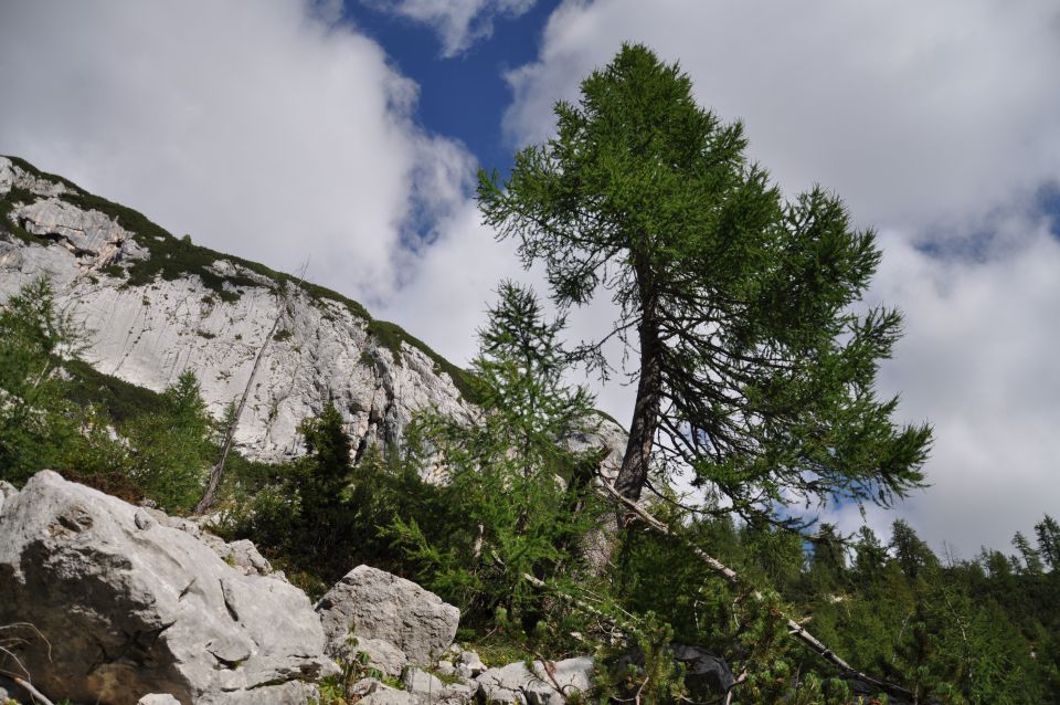 Iz Krme na Planiko - foto povečava