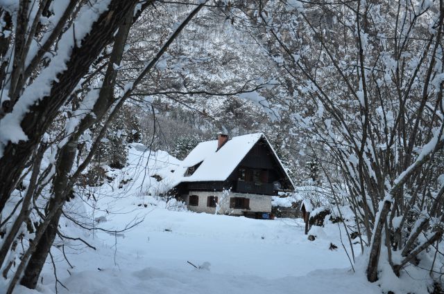 Sneg v Bohinju - foto