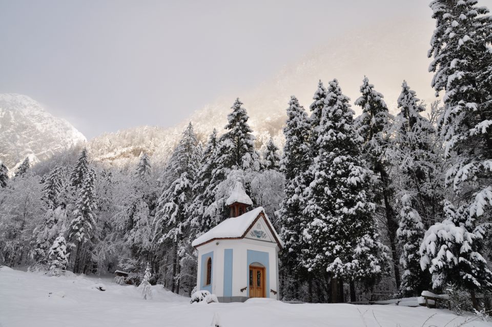 Velika planina - foto povečava