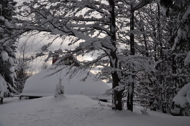 Velika planina - foto