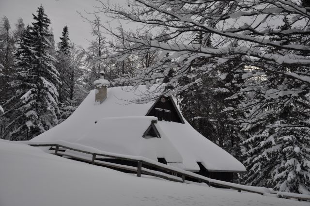 Velika planina - foto