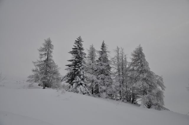 Velika planina - foto