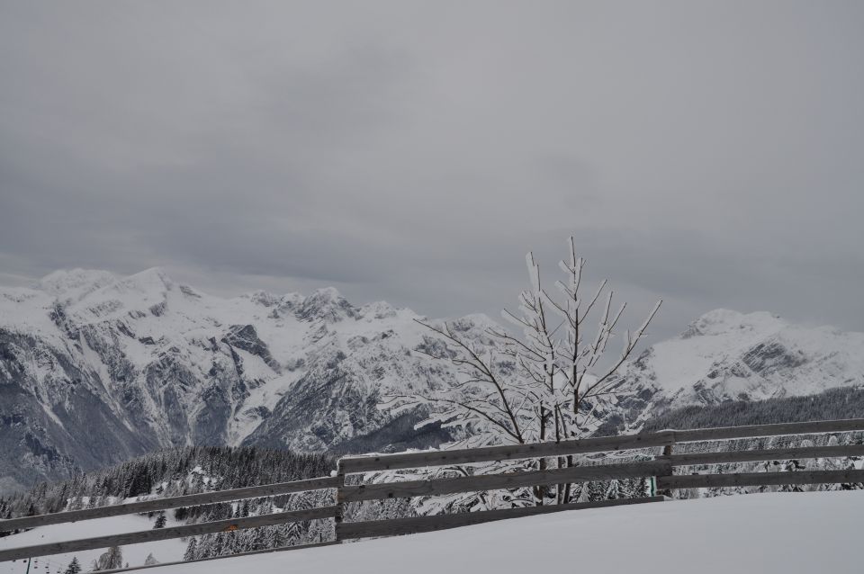 Velika planina - foto povečava