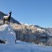 Vogel in Bohinj