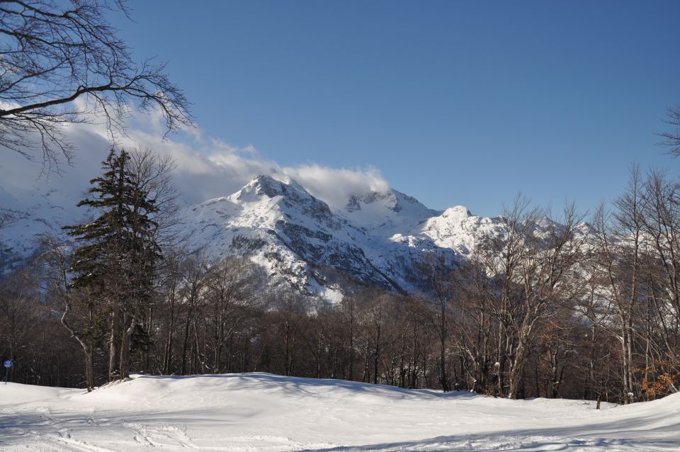 Vogel in Bohinj - foto povečava