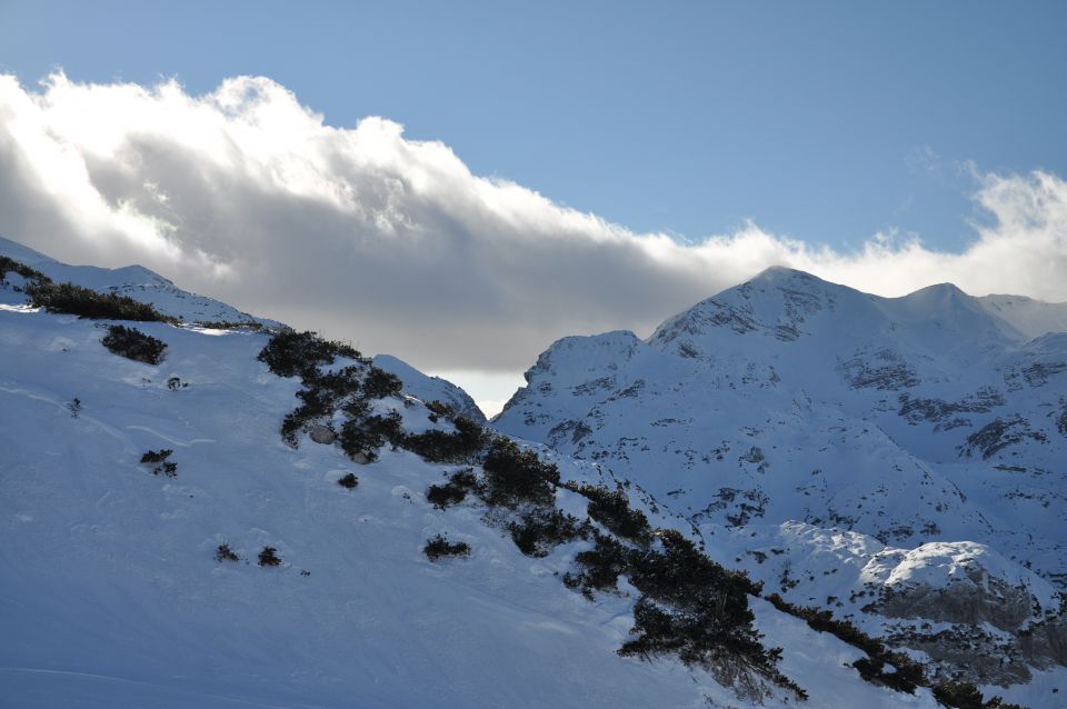 Vogel in Bohinj - foto povečava