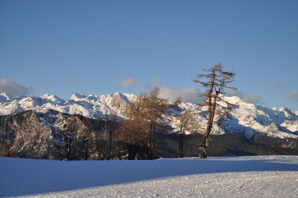 Vogel in Bohinj - foto povečava