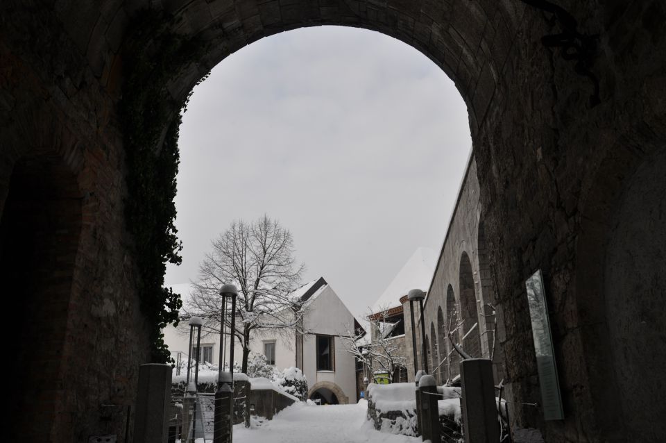 Ljubljanski grad - foto povečava