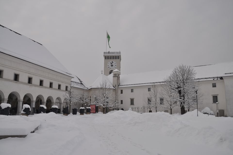 Ljubljanski grad - foto povečava