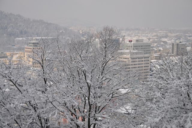 Ljubljanski grad - foto