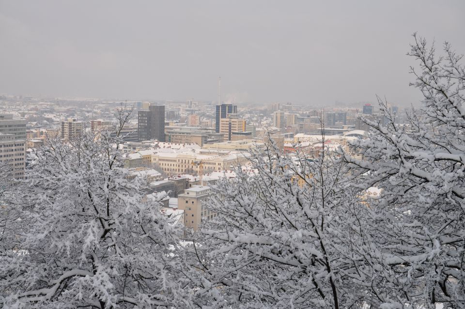 Ljubljanski grad - foto povečava