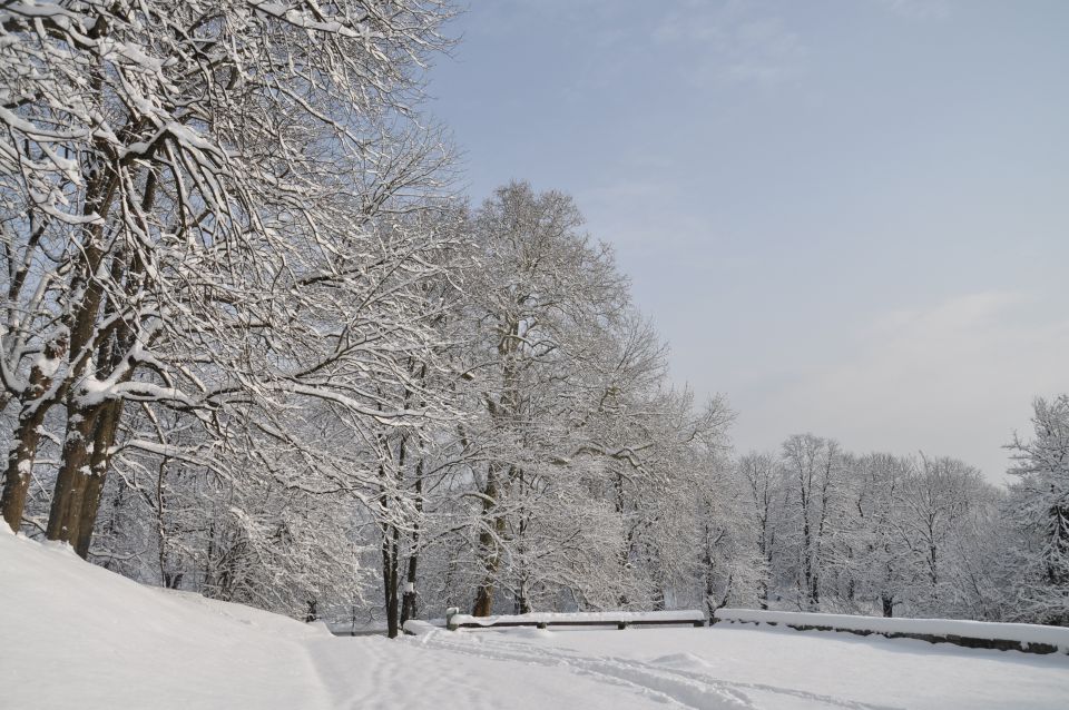 Ljubljanski grad - foto povečava