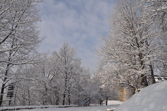 Ljubljanski grad - foto