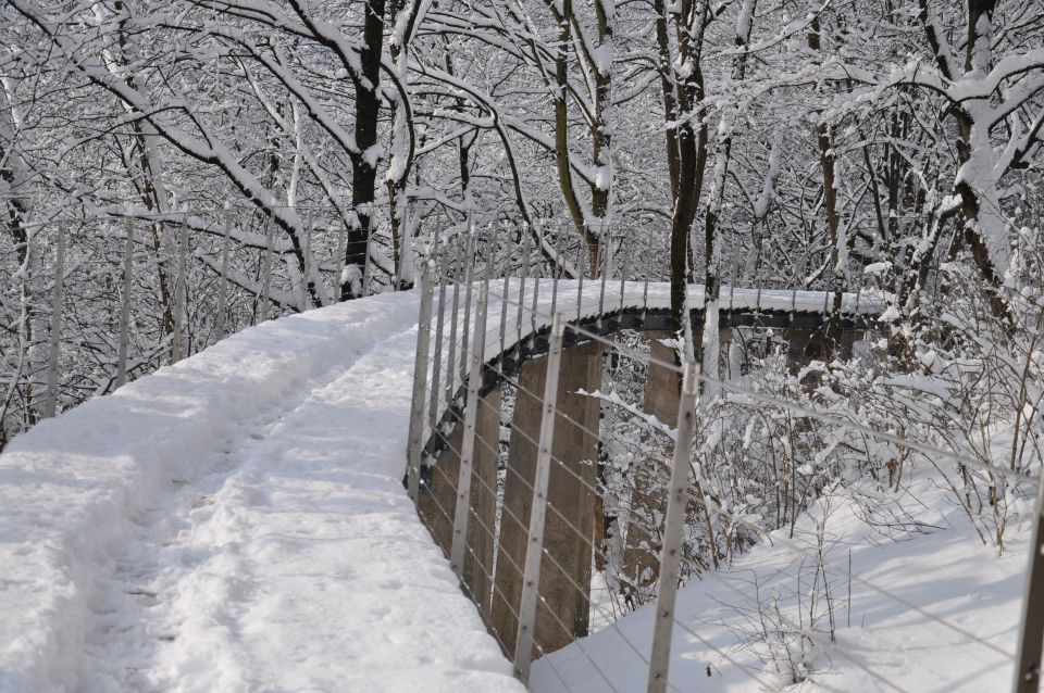 Ljubljanski grad - foto povečava