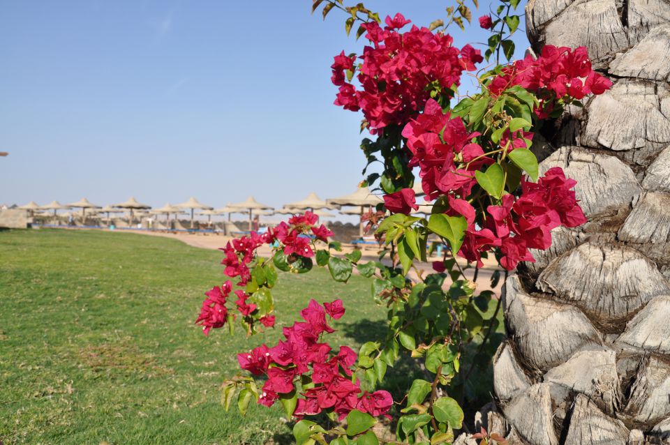 Marsa Alam - foto povečava