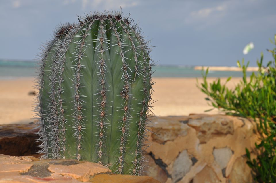 Marsa Alam - foto povečava