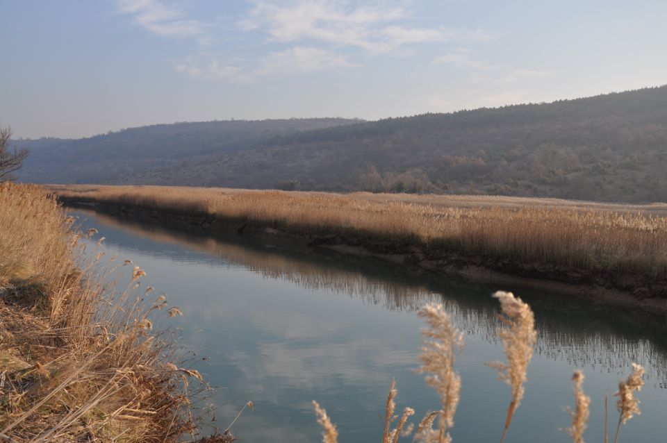 Sečoveljske soline - foto povečava