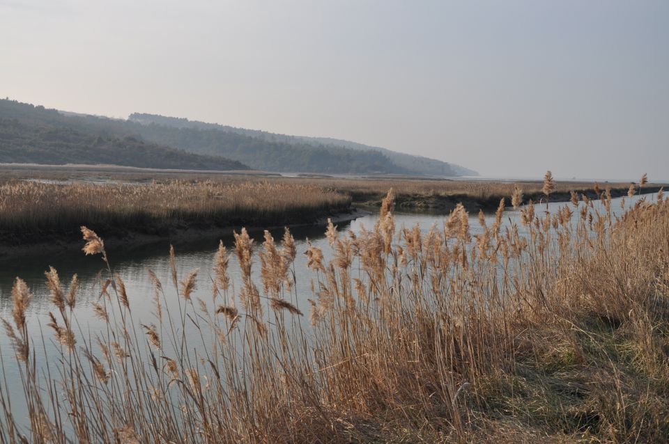 Sečoveljske soline - foto povečava