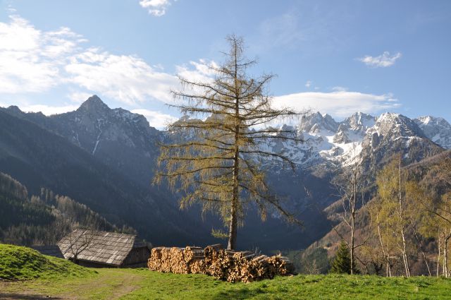 Pavličevo sedlo, Matkov kot, Jezersko - foto