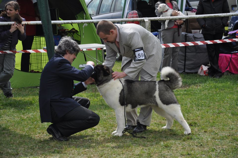 CAC Barje 17.4.2011 - foto povečava