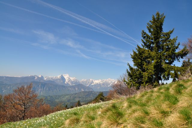 Na Golici - foto