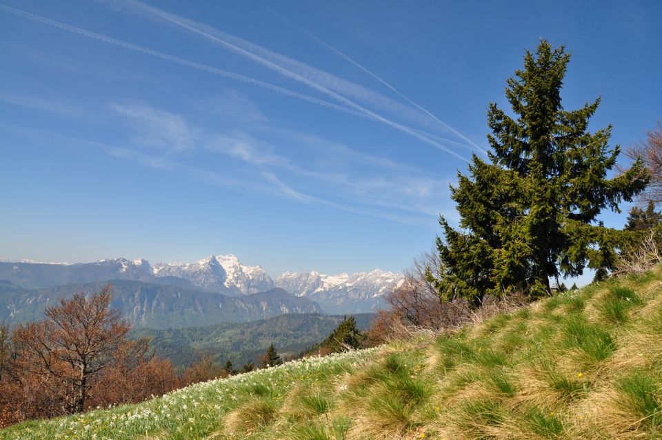 Na Golici - foto povečava