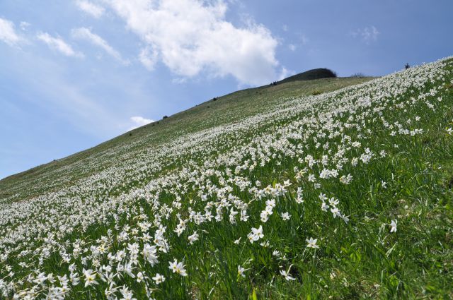 Na Golici - foto