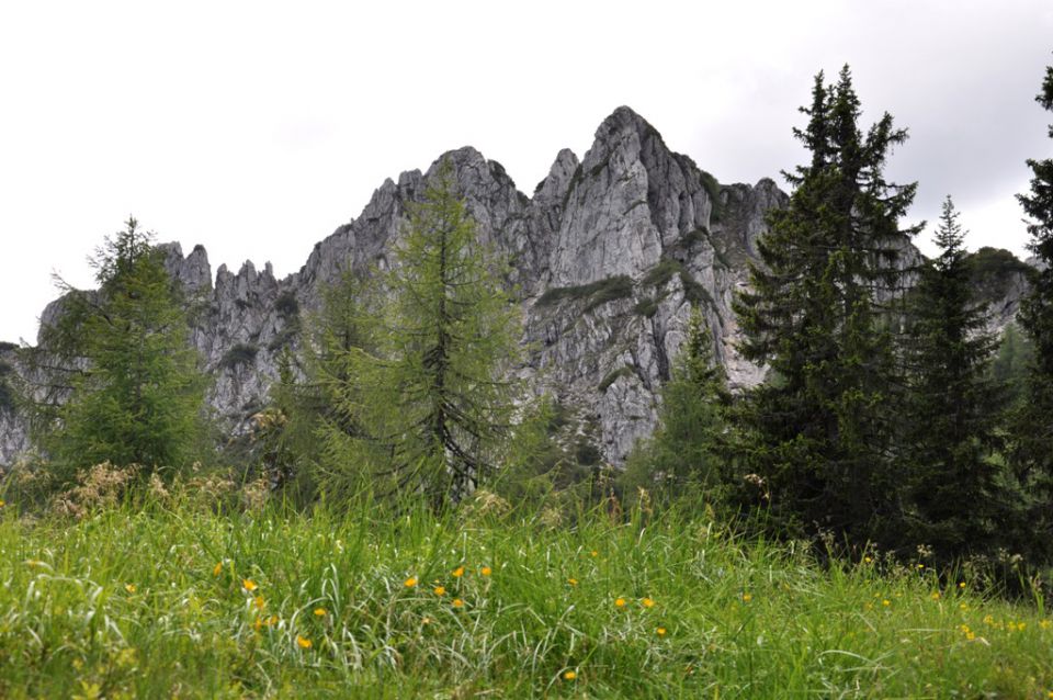 Višarje Kamniti lovec Belopeška jezera - foto povečava