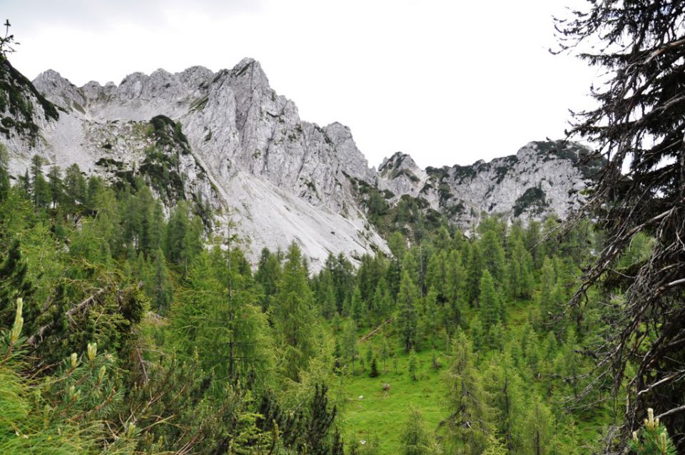 Višarje Kamniti lovec Belopeška jezera - foto povečava