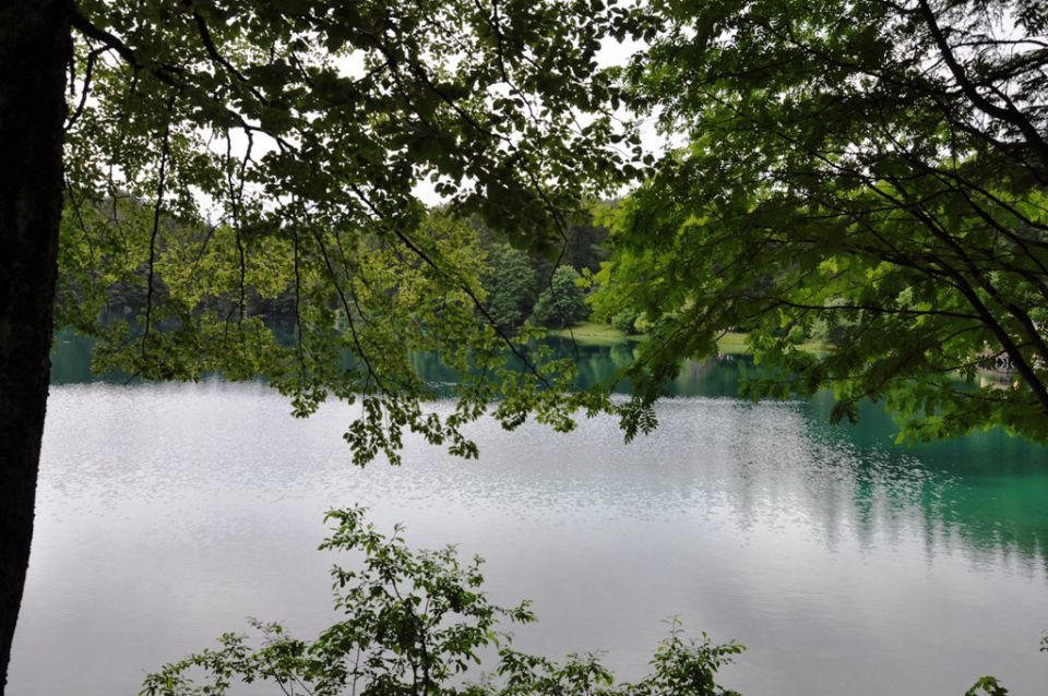 Višarje Kamniti lovec Belopeška jezera - foto povečava