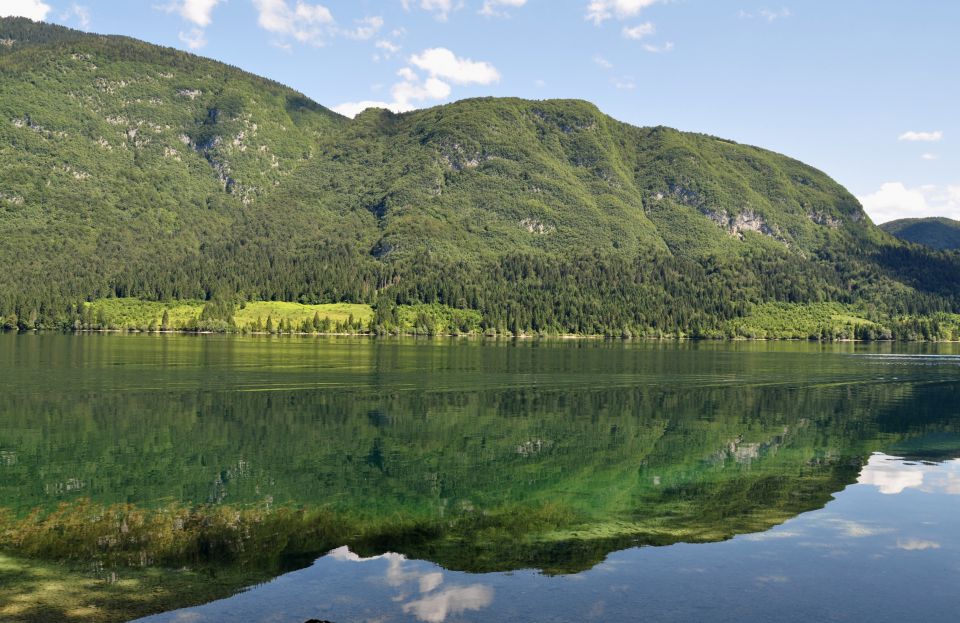 Na obali bohinjskega jezera - foto povečava