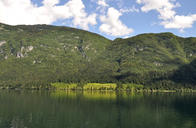 Na obali bohinjskega jezera - foto