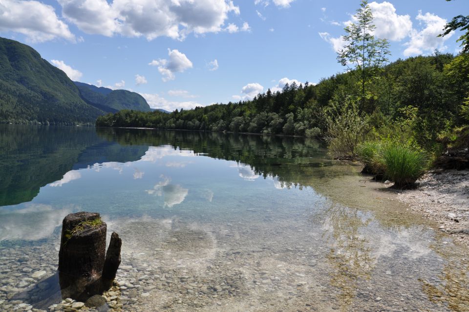 Na obali bohinjskega jezera - foto povečava