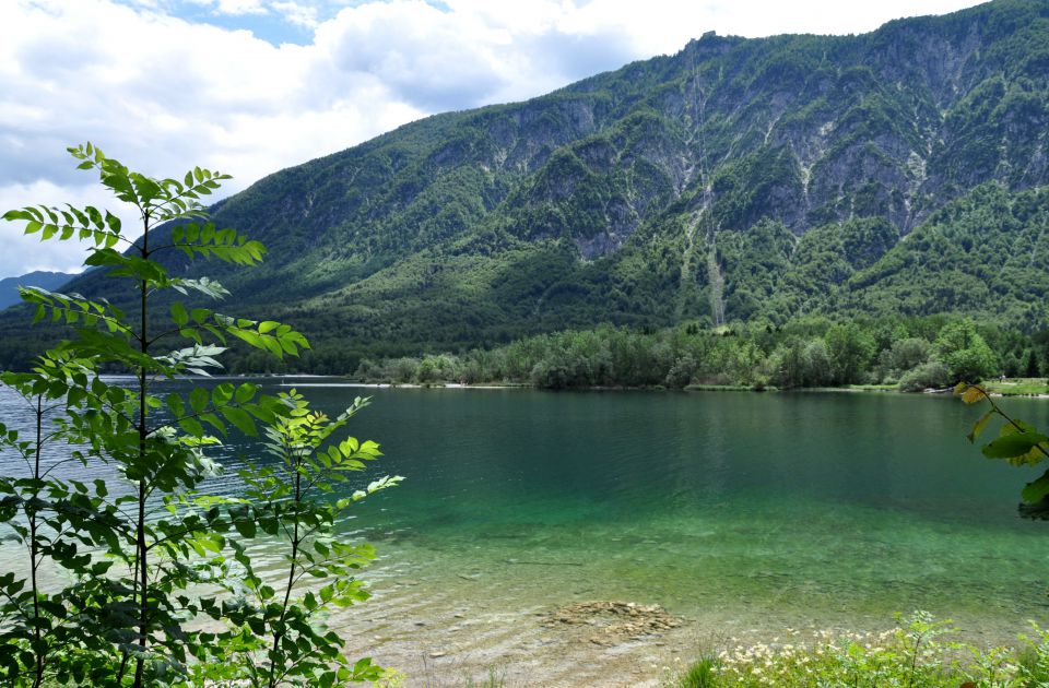 Na obali bohinjskega jezera - foto povečava