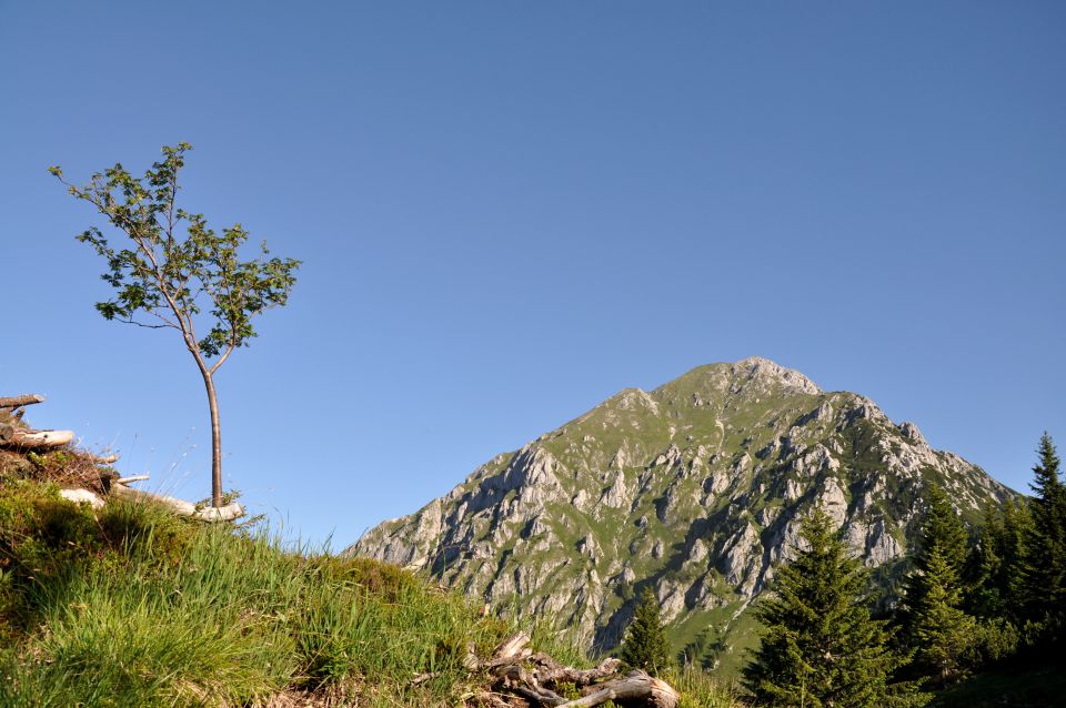 Storžič - foto povečava