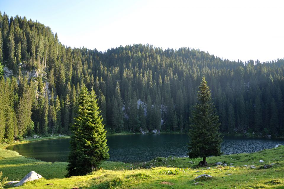 Planina pri jezeru 1453 m