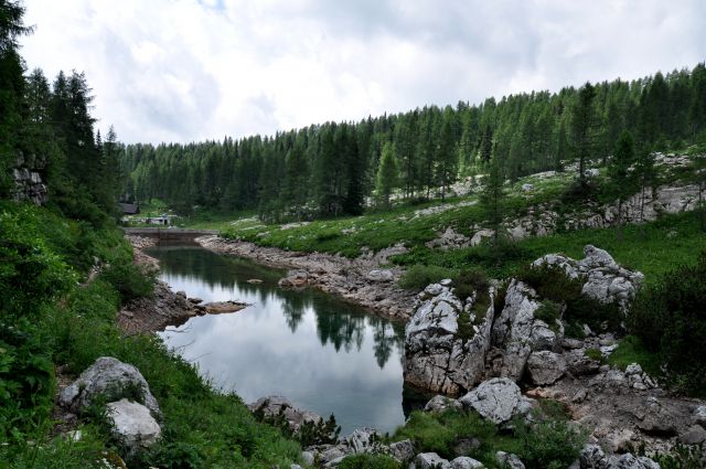 Od Planine pri jezeru do  Zasavske koče  - foto