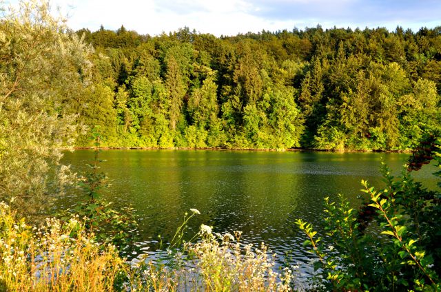 Zbiljsko jezero - foto