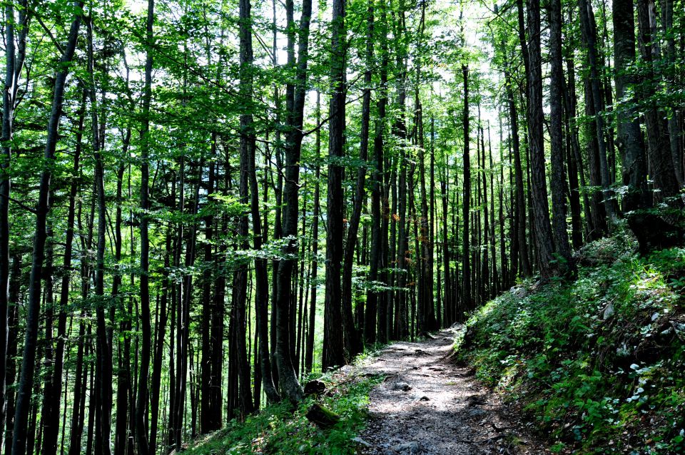 Planina Preval nad Ljubeljem - foto povečava