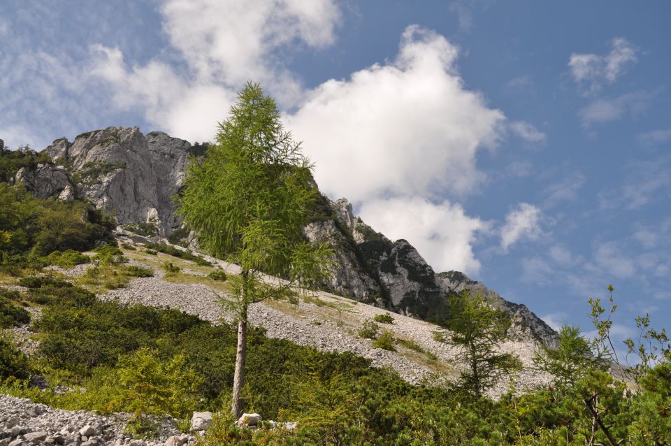 Planina Preval nad Ljubeljem - foto povečava