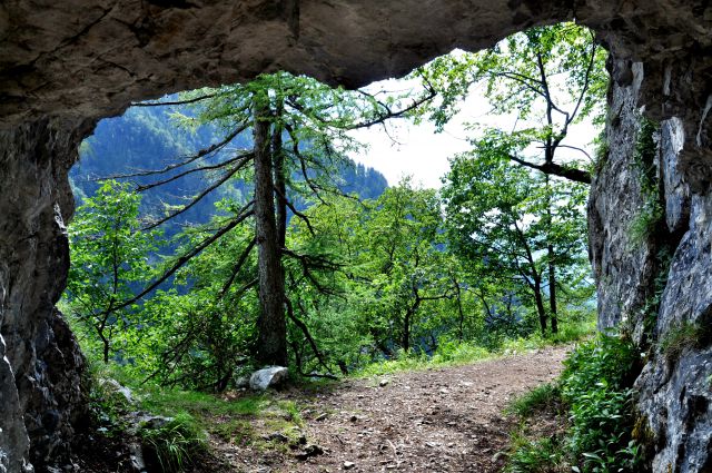 Planina Preval nad Ljubeljem - foto