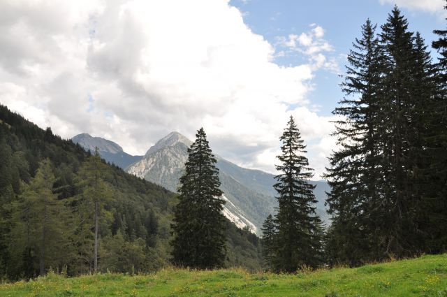 Planina Preval nad Ljubeljem - foto